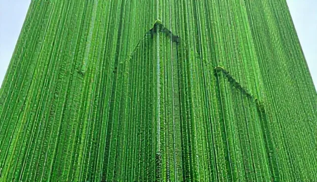 分销网站建设的两个实际环节与网站维护策略